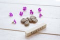 Top view of wooden calendar with August sign, clay butterfly and pink flowers Royalty Free Stock Photo