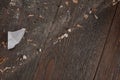 Top view on wooden floor being half covered with trash and dust