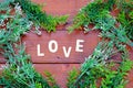 Top view on Wooden letters word `LOVE`, heart made of many plant on wooden background Royalty Free Stock Photo