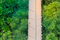 Top view wooden sky walk or walkway cross over treetop surrounded with green natural. Royalty Free Stock Photo