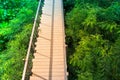 Top view wooden sky walk or walkway cross over treetop surrounded with green natural. Royalty Free Stock Photo