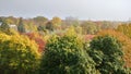 A Top View of woods in fall in a foggy morning