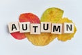 Top view with word autumn on wooden cubes and dry leaves