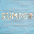 Top view word summer of sea shell on light blue wooden textured for holiday time background Royalty Free Stock Photo