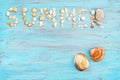 Top view word summer of sea shell on light blue wooden textured  for holiday time background Royalty Free Stock Photo