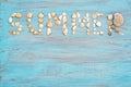 Top view word summer of sea shell on light blue wooden textured  for holiday time background Royalty Free Stock Photo
