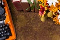 Top view of workspace of vintage orange typewriter and on bouquet of orange summer flowers Royalty Free Stock Photo