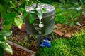 top view of wormery compost bin in organic Australian garden with sign for Free Worm Tea, sustainable living and zero waste