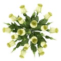 Top view of yellow eustoma flowers in glass vase isolated on white