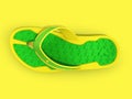 Top view of yellow and green rubber male beach slipper sneaker w