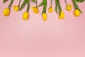 Top view of yellow tulips and daffodils on pink background. Spring colourful composition. Royalty Free Stock Photo