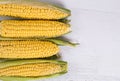 Top view of young corn heads on white wood background. Space for text Royalty Free Stock Photo