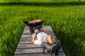 Top view of young man working, using laptop computer in nature. Freelance work, vacations, distance work, social distancing, e- Royalty Free Stock Photo