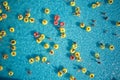 Top view - young people relax in swimming pool.