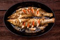 Top view zander fillet with tomatoes on frying pan