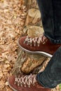 Top view man standing with hiking mountain boots on autumn leaves and wood background Royalty Free Stock Photo