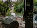 Top of waterfall close to Auckland, New Zealand Royalty Free Stock Photo