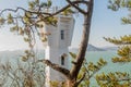 Top of white lighthouse seen through trees Royalty Free Stock Photo