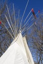 Top of white tepee with trees Royalty Free Stock Photo