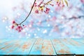 Pink cherry blossom flower sakura on sky background in spring season. Royalty Free Stock Photo
