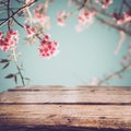 Top of wood table with pink cherry blossom flower sakura on sky background in spring season Royalty Free Stock Photo