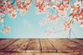 Top of wood table with pink cherry blossom flower sakura on sky background in spring season Royalty Free Stock Photo