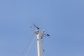 Top of the yacht`s mast Royalty Free Stock Photo