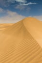 On top of a yellow sand dune Royalty Free Stock Photo