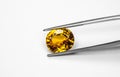 Topaz and clamp Royalty Free Stock Photo