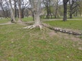 Topciderski park Belgrade Serbia spring scenery Royalty Free Stock Photo
