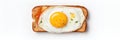 A Topdown View Of A Fried Egg On Toasted Bread Showcasing A Sandwich With A Fried Egg Depicting A Me