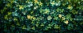 Topdown view of lush green hedge with small plants ideal for decor. Concept Lush Greenery, Top-Down View, Decor Inspiration, Small