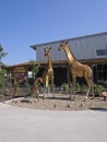 Giraffe & Friends Exhibit at the Topeka Zoo