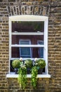 Topiarary flowers on windowsill in city brick building with reflections