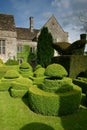 Topiary 1