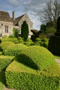 Topiary 2 Royalty Free Stock Photo