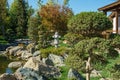 Topiary art in Japanese garden of public landscape park of Krasnodar or Galitsky park, Russia