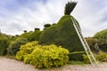 Topiary care. Royalty Free Stock Photo