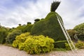 Topiary care.