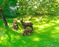 Topiary Deer Butchart Gardens