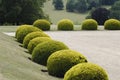 Topiary in an English Country garden.