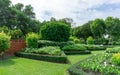 Topiary English formal garden style, gardens with geometric shape of bush and shrub, decoration with flowering plant blooming