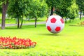 Topiary figure `Ball` with a diameter of 1.5 meters