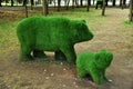 Topiary. Figures of two bears. Sculptures from the bushes in the city park.