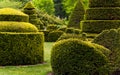 Topiary garden at Longwood Gardens, PA.