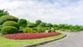 Topiary garden style, asphalt road in gardens with hedge round shape of bush and shrub, decoration with colorful flowering plant