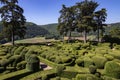 Topiary garden of the Jardins de Marqueyssac - Dordogne - France Royalty Free Stock Photo