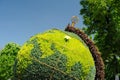 Topiary globe made of green plants in Orel, Russia