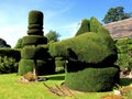 Topiary at Haddon Hall, Derbyshire. Royalty Free Stock Photo