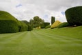 Topiary hedges and lawn